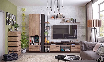 Nature living room